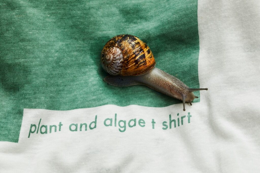 vollebak_plant_algae_shirt_11