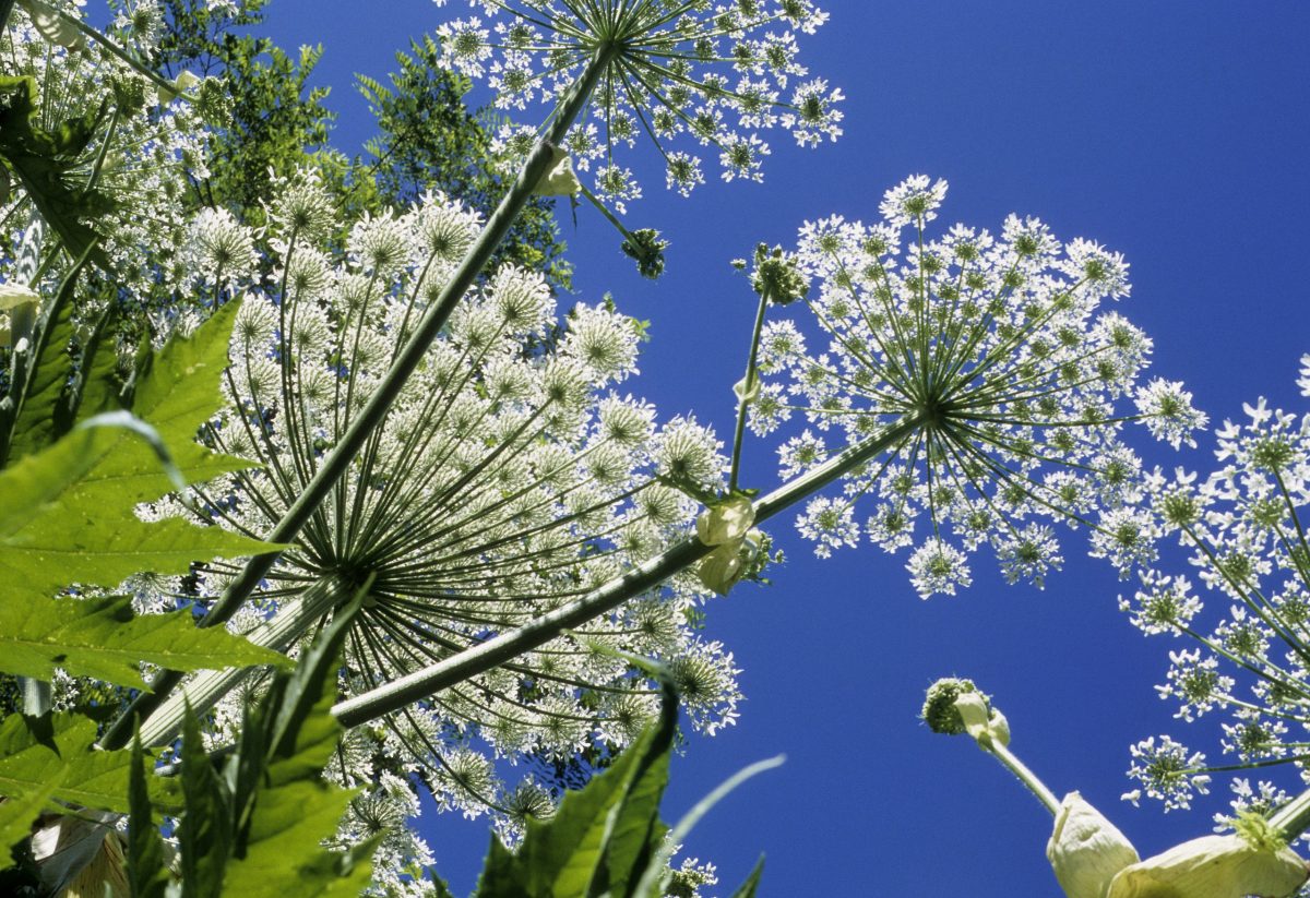 AdobeStock_136645994-scaled-e1631036832810